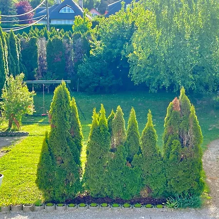 White House בית הארחה 3*